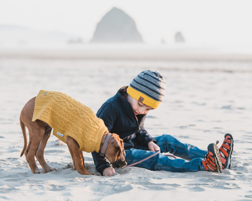 Boy and puppy with Haystack Rock in the background