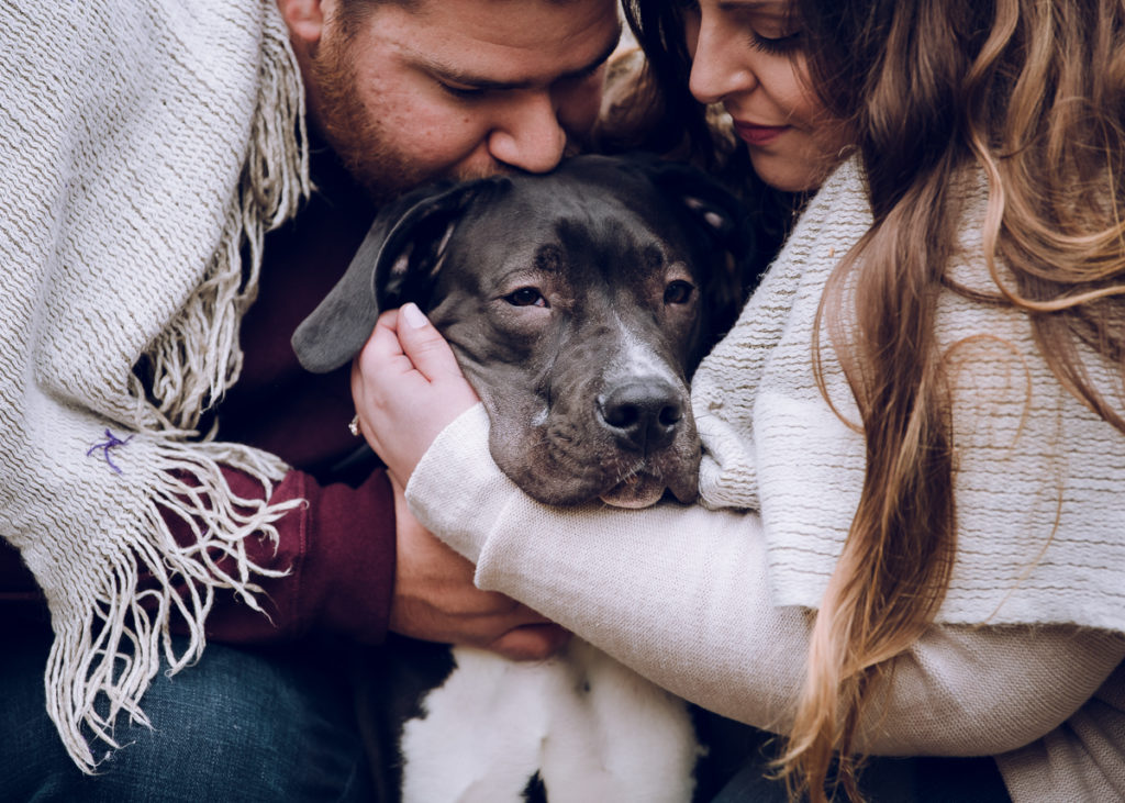 Family Photography with Dogs
