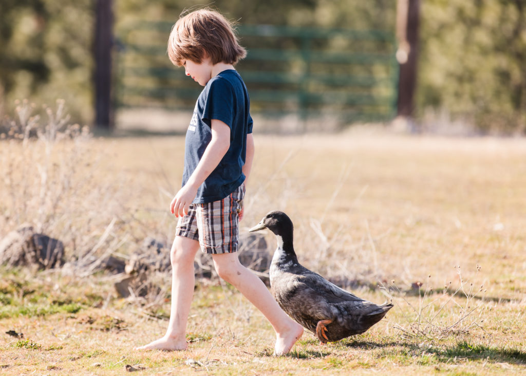 Boy and duck | Why Pet photography matters