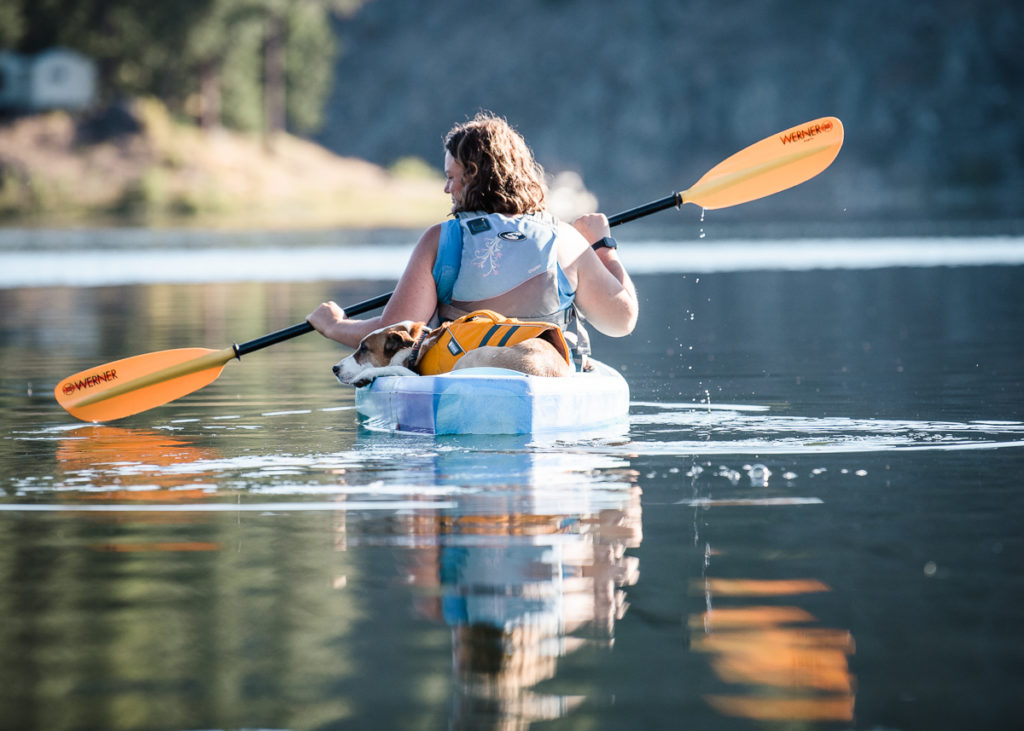 Dog kayaking Spokane Adventure Photographer