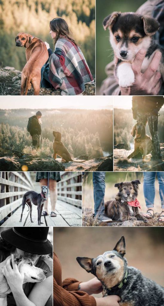 Joining your dog in a photography session examples