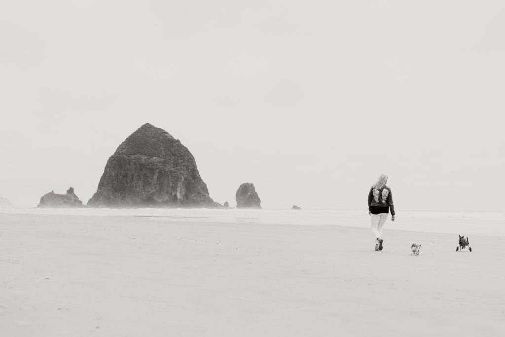 Cannon Beach Haystack Rock Black and White