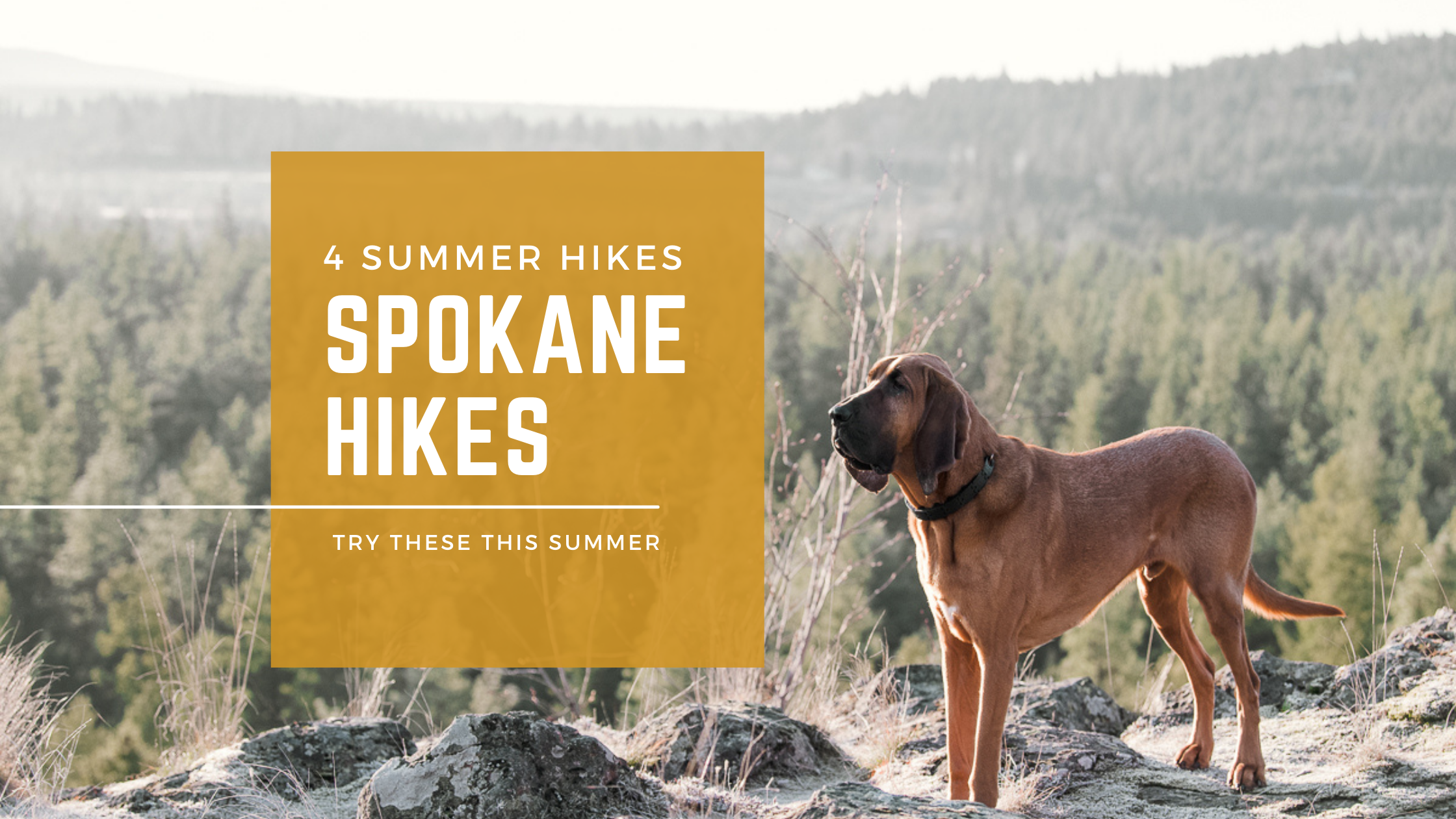 Spokane hikes