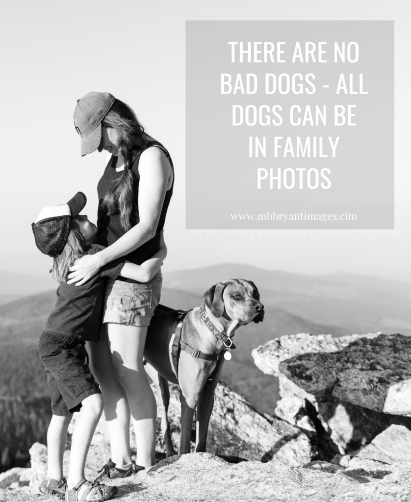 no bad dogs quote