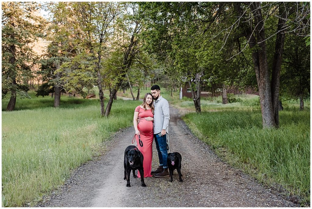 Spokane maternity photos with dogs
