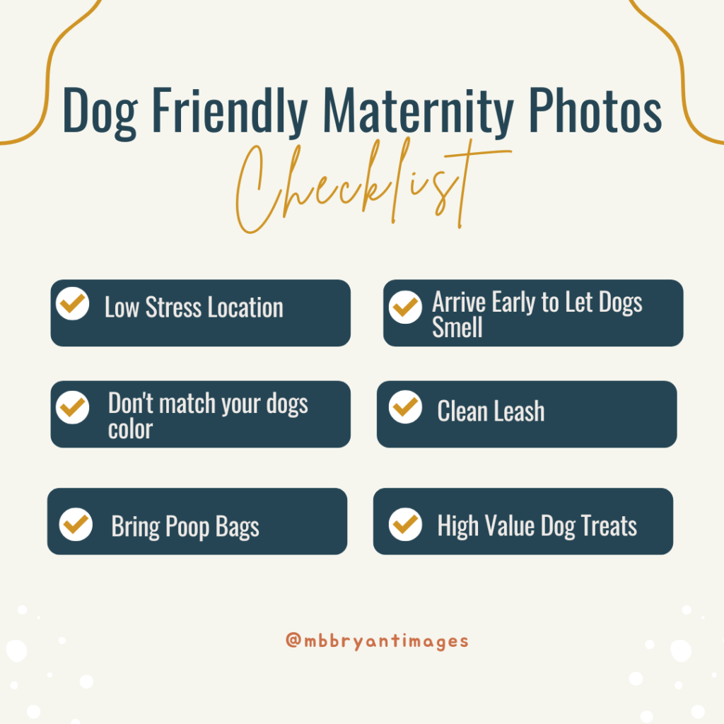 maternity photos with dogs checklist
