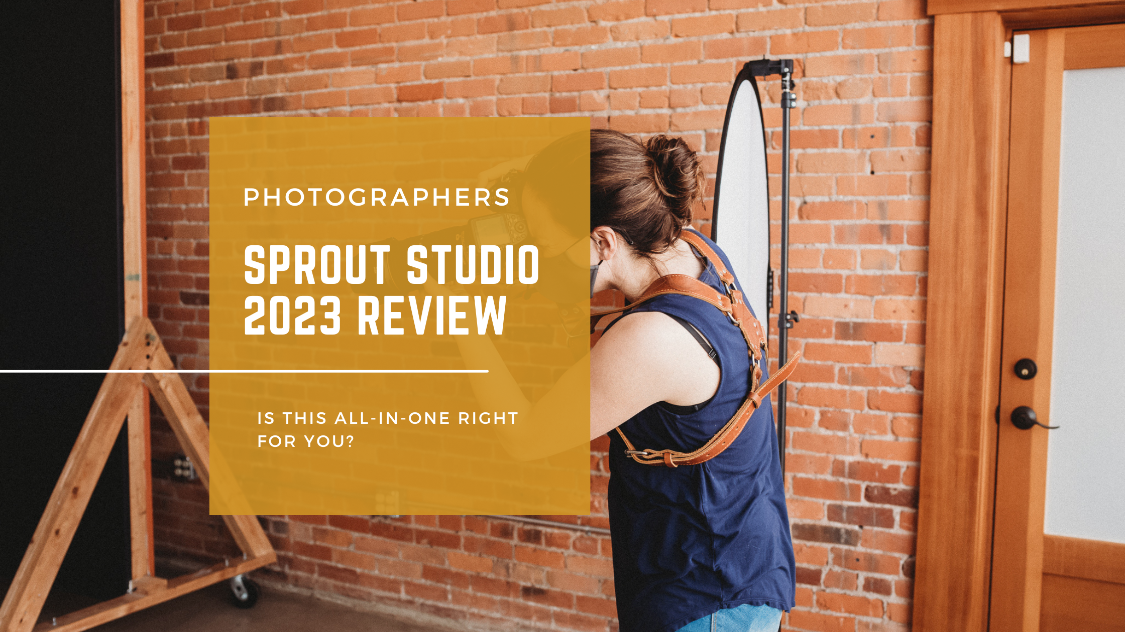 Sprout Studio Review Blog Banner