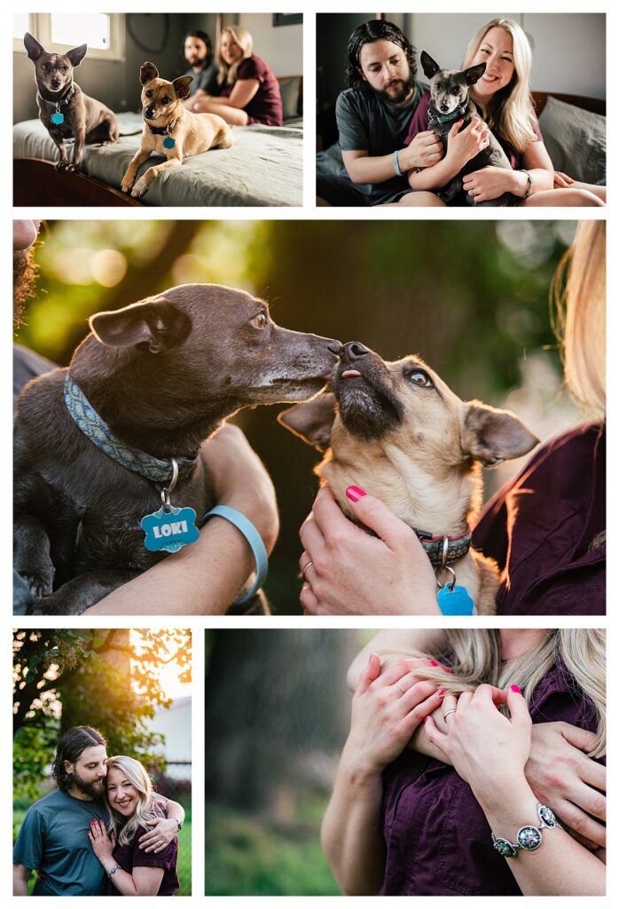 Spokane family photography with dogs at home