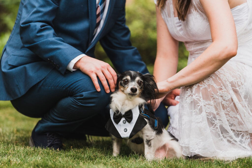 wedding photo with dog in tux spokane